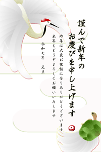 大きく羽根を広げた鶴と亀の縁起の良いイラストの年賀状テンプレート