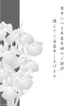 菖蒲の花４