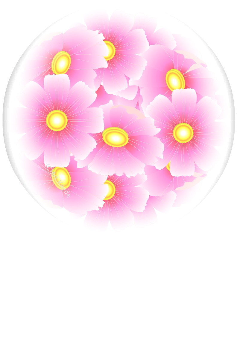 秋の花 コスモスハガキテンプレート Art Kaede花通信