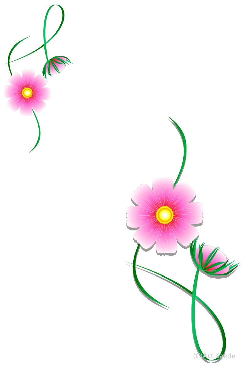 秋の花 コスモスハガキテンプレート Art Kaede花通信 秋の花 コスモスハガキテンプレート Art Kaede花通信