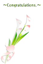 カラーの花１