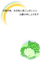 ハガキテンプレートは白い背景に左上に虹　右下にグリーンの紫陽花のイラスト
