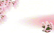 桜と三色団子のイラスト名刺