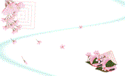 桜と三色団子のイラスト名刺