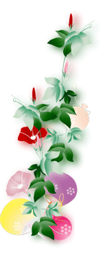 下からツタを伸ばした朝顔に赤い花やピンクの花に蕾　背面に水ヨーヨーとうちわを添えたイラスト