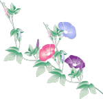 右から左上に伸びたツタにピンクとブルーと紫の朝顔の花のイラスト