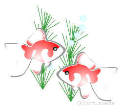 金魚6