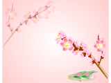 桃の花のデスクトップ壁紙