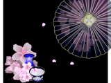 番傘と桜 花見酒のイラストのデスクトップ壁紙