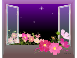 窓から見えるコスモスの風景のイラストのデスクトップ壁紙　紫