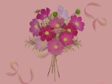 コスモスの花束のイラストのデスクトップ壁紙
