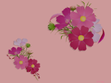 コスモスの花束のイラストのデスクトップ壁紙