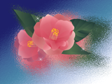 ピンクの椿の花とガラスのイメージで青い背景のデスクトップ壁紙