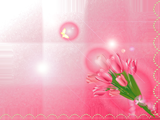 チューリップの花のイラストのデスクトップ壁紙