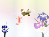 鯉と菖蒲の花のイラス
