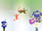 鯉と菖蒲の花のイラス
