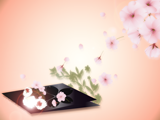 桜の花と手巻きずしのイラスト