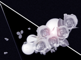 バラの花のイラストのデスクトップ壁紙