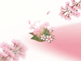 桜の花と三色団子