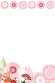 菊の花のイラスト