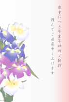 菖蒲の花２